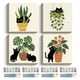 thumbnail image 1 of Kit de Pintar por Números Amphol 4 piezas 25 × 25 cm con marco, 1 of 7