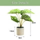 thumbnail image 2 of Plantas artificiales, plantas artificiales en maceta, decoración del hogar, 2 of 5