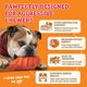 thumbnail image 3 of Juguete de masticar para perros Baba Buddies 20 cm Pata de pavo 5 en 1, 3 of 8