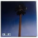 thumbnail image 2 of Miley Cyrus | Endless Summer Vacation | Vinilo, 2 of 3