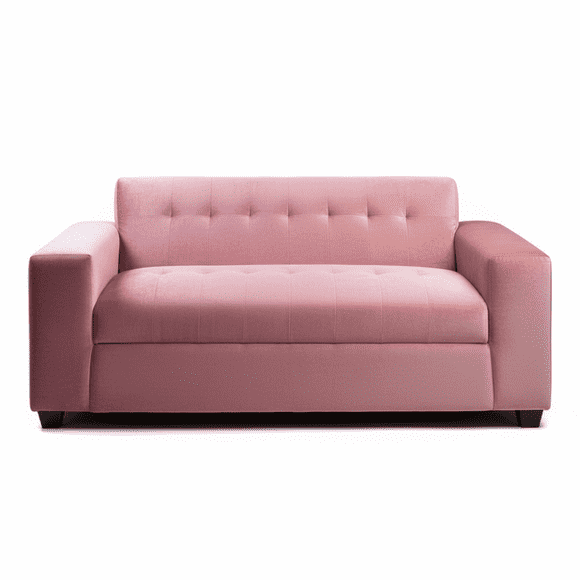 Sofa Dos Cuerpos Palo Rosa Felpa