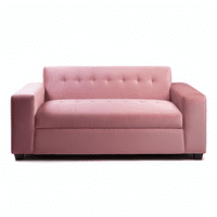 Muebles New - Sofa Dos Cuerpos Palo Rosa Felpa