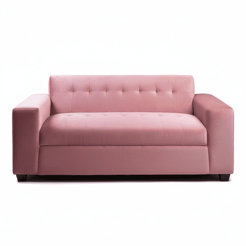 Muebles New - Sofa Dos Cuerpos Palo Rosa Felpa
