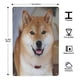 thumbnail image 3 of Cartel de Metal Decorativo Shiba Inu Desmarcar 30x20 cm, 3 of 6