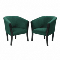 Muebles New - Sitiales Americano Verde Felpa