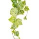 thumbnail image 5 of Arbusto artificial de hoja de parra con forma de hiedra colgante, 183 cm, Vickerman, 5 of 5