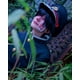 thumbnail image 5 of Gorro Cosplay Hanako Kun- Jibaku Shōnen Hanako-kun, 5 of 6