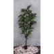 thumbnail image 3 of Árbol Ficus 240cm Artificial, 3 of 3