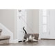 thumbnail image 1 of Láser Dancing Dot para gatos, 1 of 3