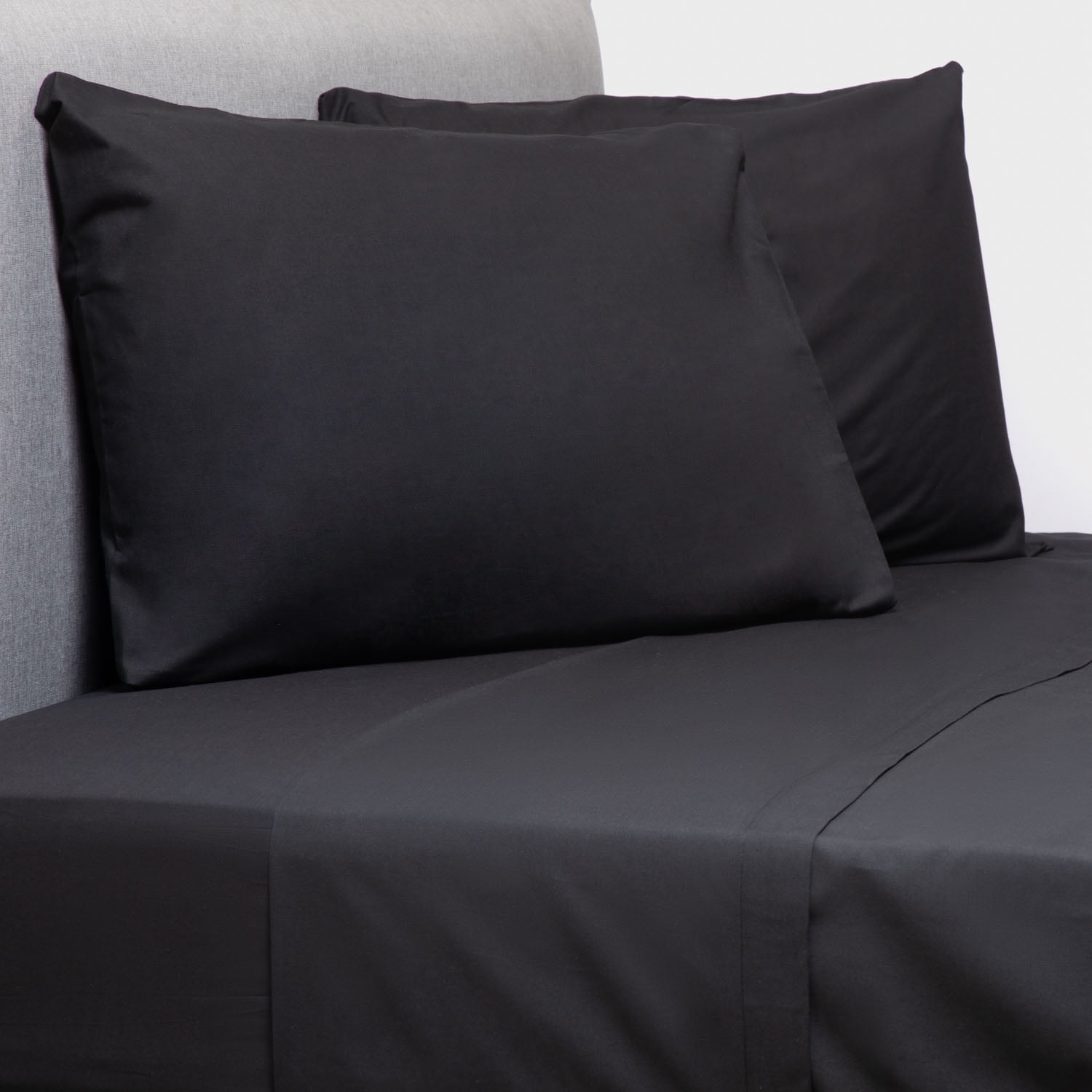 Zahr - Sabana Zarina Black 2.5 Plaza