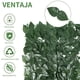 thumbnail image 5 of Malla De Hojas Enredadera Artificial Decoracion Jardin 3x1m, 5 of 5