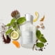 thumbnail image 2 of Creed Royal Water Men 100ml Hombre, 2 of 3
