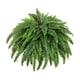 thumbnail image 2 of Planta Artificial De Helecho Artificial Para Oficina, Jardín, Boda, 1 Unidad, 2 of 5