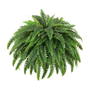 Magideal - Planta Artificial Arreglo Artificial Diy Diseño De Vegetación Decorativa Decoración De Plantas Para La Oficina Del Patio Al Aire Libre Cumpleaños Del 1 Por Ciento