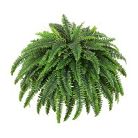 Magideal - Planta Artificial Arreglo Artificial Diy Diseño De Vegetación Decorativa Decoración De Plantas Para La Oficina Del Patio Al Aire Libre Cumpleaños Del 1 Por Ciento