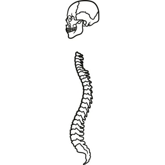 Decomural Skull And Spine Skeleton Halloween WS-18642