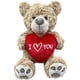 thumbnail image 1 of Peluche Oso Mensajero 36 cm Te Amo, 1 of 8