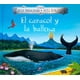 thumbnail image 5 of El caracol y la ballena, 5 of 5