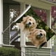 thumbnail image 3 of Golden Retriever Bandera impresa con temática, regalo perfecto para fanáticos, amigos y familiares, y adecuada para actividades al aire libre e interiores, decoraciones de fiesta. 120*180CM, 3 of 6