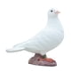 thumbnail image 5 of Escultura de resina, adorno modelo de pájaros falsos, estatua de paloma de simulación estética, modelo de paloma artificial para decoración del jardín Estilo A, 5 of 5