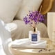 thumbnail image 3 of Difusor de Aromas Airkeep Set 3 Fragancias 150ml Clean Linen, 3 of 3