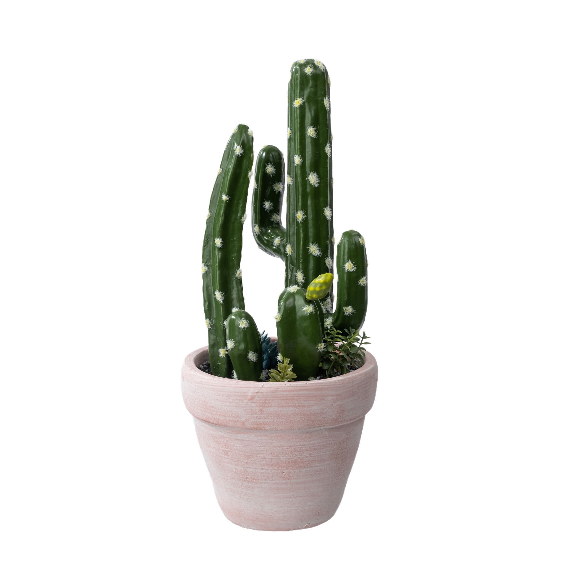 Cactus Artificial 26Cm