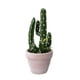 thumbnail image 1 of Cactus Artificial 26Cm, 1 of 4