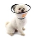 thumbnail image 1 of Collar Isabelino Velcro Xxl 44 - 50 Cm, 1 of 3