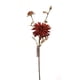 thumbnail image 1 of Crisantemo Rojo 50 Cm, 1 of 2