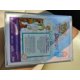 thumbnail image 3 of Funko Pop Scooby‑Doo Serie Art #11 Edición Exclusiva BoxLunch, 3 of 3