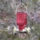 thumbnail image 2 of Comedero colgante de vidrio para colibríes Nature's Way, 650 ml de capacidad, 2 of 3