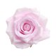 thumbnail image 5 of 10 Unids Seda Artificial Rosa Flor Cabezas Boda Fiesta Decoración Pink Pink, 5 of 5