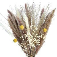 Bothyi - Ramo De Flores De Caña De Fragmitas De Hierba De Pampa Seca, Decoración De Otoño Para Mesa De Casa, Regalo A