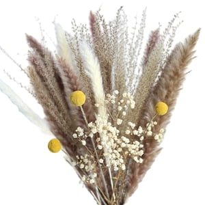 Bothyi - Ramo De Flores De Caña De Fragmitas De Hierba De Pampa Seca, Decoración De Otoño Para Mesa De Casa, Regalo A