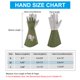 thumbnail image 2 of Guantes de jardinería para mujeres Uxcell a prueba de espinas, guantes de jardín de cuero extra largos medianos para podar rosas, verde, 2 of 5