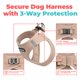thumbnail image 2 of Arnés para perro Best Pet Supplies pequeño color caqui con malla de aire, 2 of 8