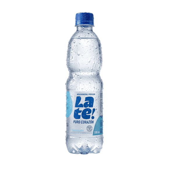 Agua Mineral Con Gas 500cc 12U