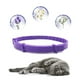 thumbnail image 2 of Calmante Collar Gato Reducción Antiestrés Ajustable (2 Unid), 2 of 6