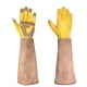 thumbnail image 1 of Guantes largos de jardinería para las mujeres a prueba de espinas, rosa poda cuero de vaca guantes de jardín para cactus, rosa y morena (L), 1 of 3