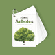 thumbnail image 1 of Fíjate: Árboles. Guía para iniciarse en la observación, 1 of 4