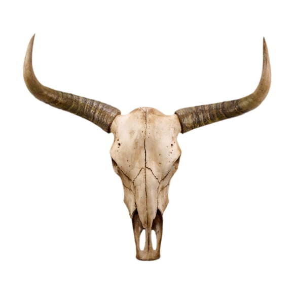 Escultura De Pared Con Cabeza De Toro Y Calavera, Obra De Arte Artesanal Para Chimenea, Galería, Granja, Estilo A
