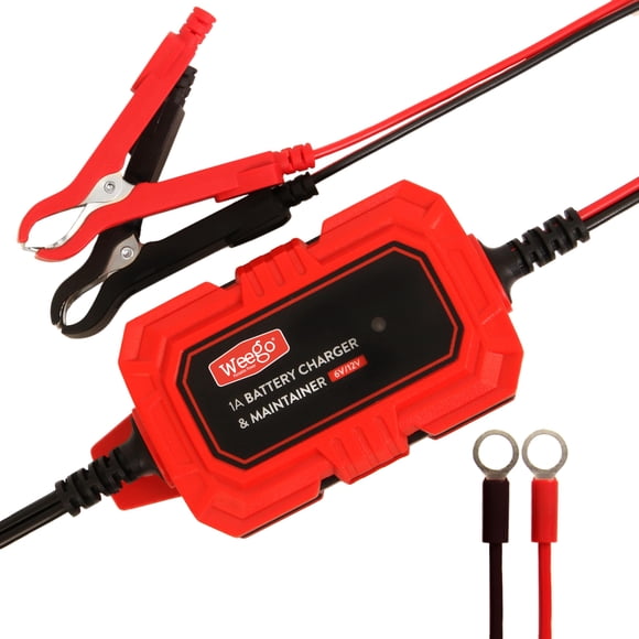 Cargador de Batería Weego 6V/12V de Goteo IP65