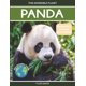 thumbnail image 1 of Libro Datos Fascinantes Sobre Los Pandas Para Niños, 1 of 1