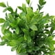 thumbnail image 3 of Planta Decorativa Artificial Wisteria, 3 of 5
