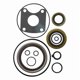 thumbnail image 1 of Kit de sellos para la caja de engranajes superior Engineered Marine Products, 1 of 1