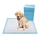 thumbnail image 1 of Sabanilla Para Perros Sanitario 60x60 Celeste, 1 of 2