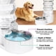 thumbnail image 5 of Bebedero automático para mascotas RIZZARI Gravity de acero inoxidable 8L, 5 of 8