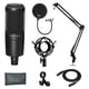 thumbnail image 1 of Micrófono de estudio Audio-Technica AT2020 con condensador y accesorios, 1 of 9