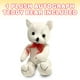thumbnail image 3 of Oso de peluche autógrafo de felpa ArtCreativity, 28 cm, graduación, 3 of 3