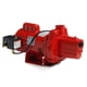 thumbnail image 1 of Bomba de chorro para pozos poco profundos Red Lion RJS-100-PREM 1HP 87L/min, 1 of 8